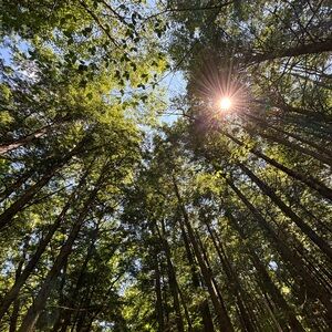 Meet your Posher, Ben